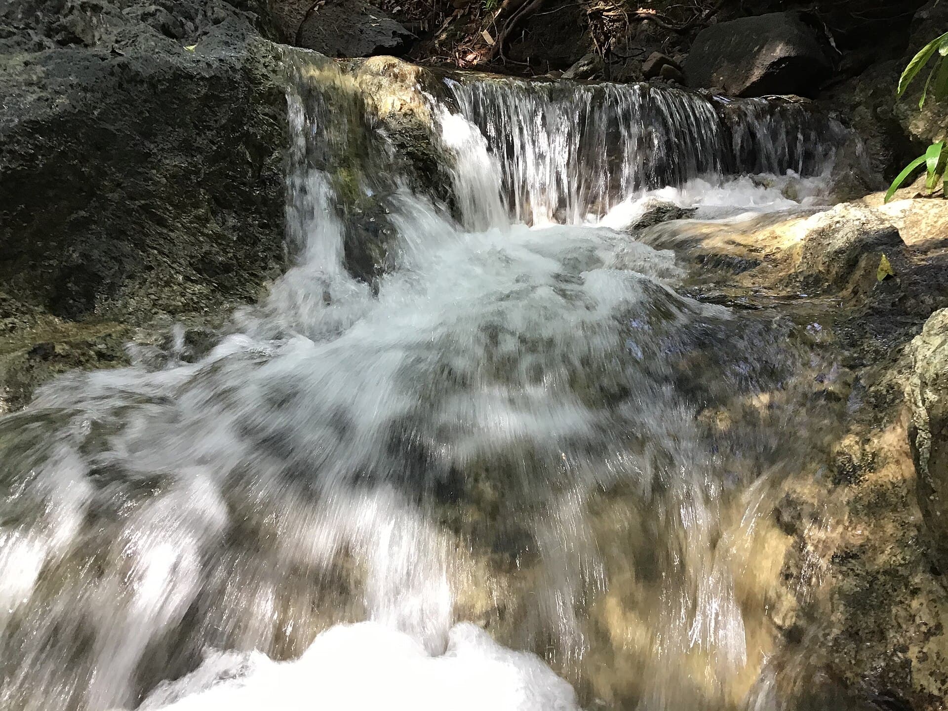 Rainforest waterfall cascading over rocks